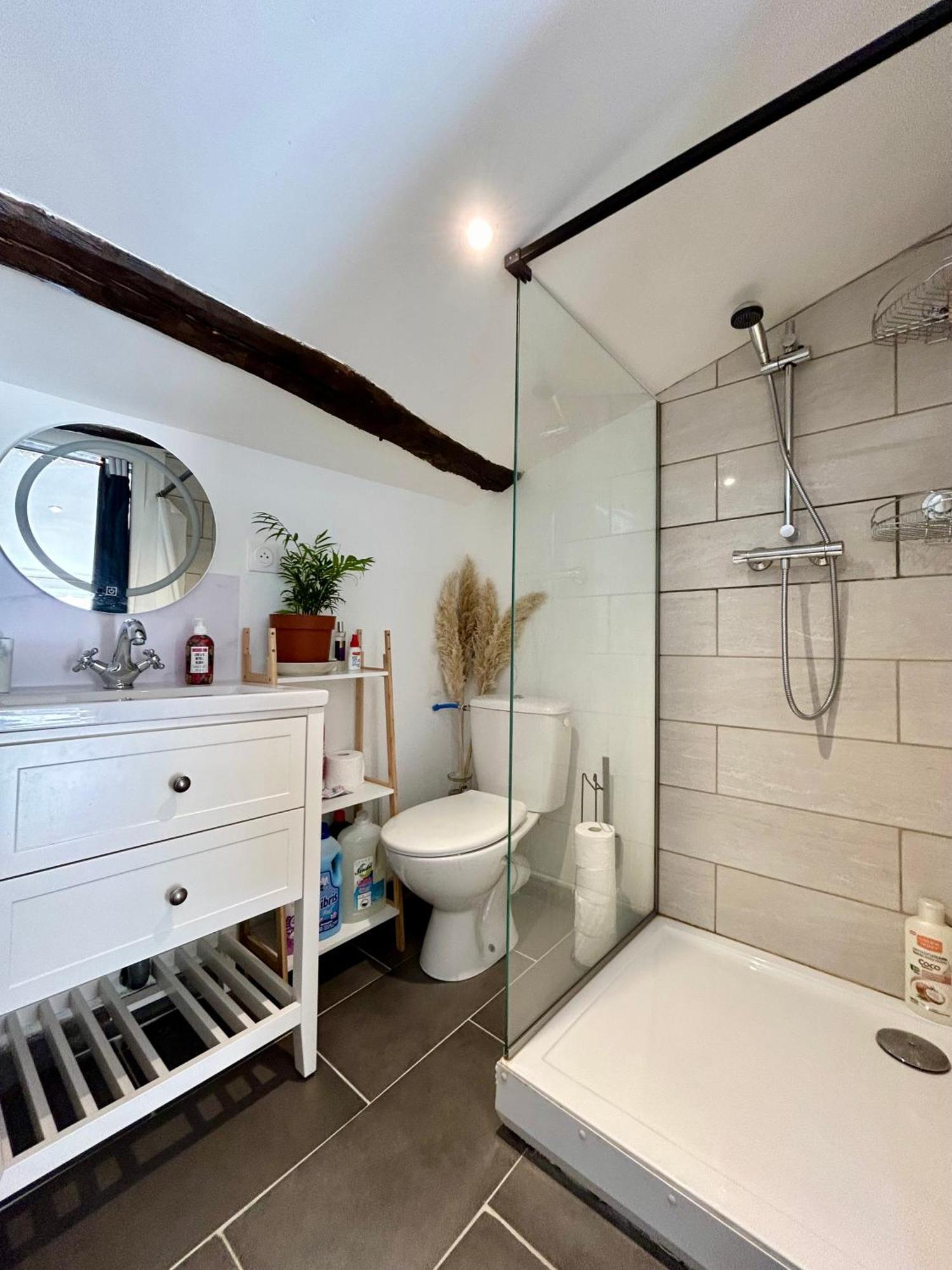 Loft Hortensia Climatise Hyper Centre Castres Castres (Tarn) Exterior foto